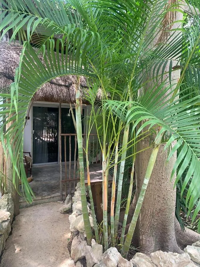 Icastico Tulum Hotel