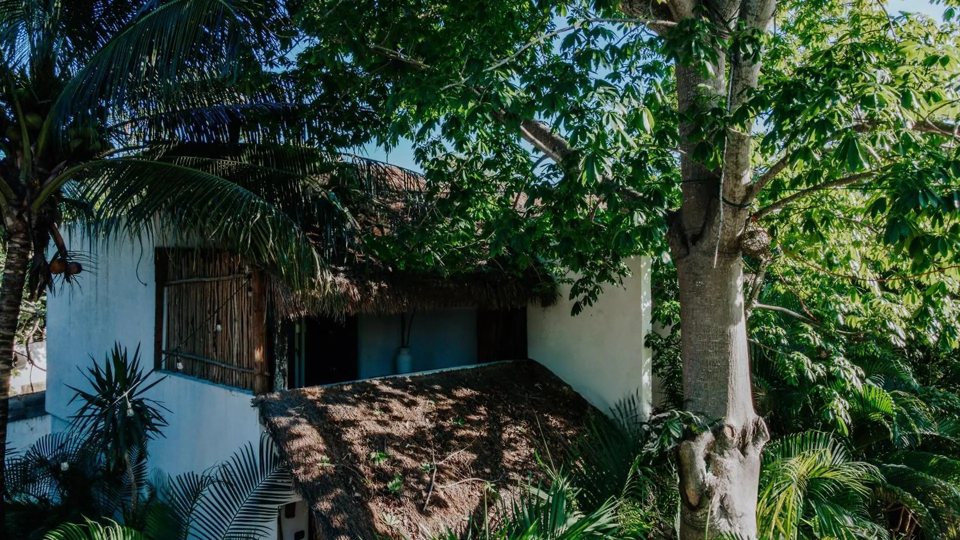 Icastico Tulum Hotel Mexico