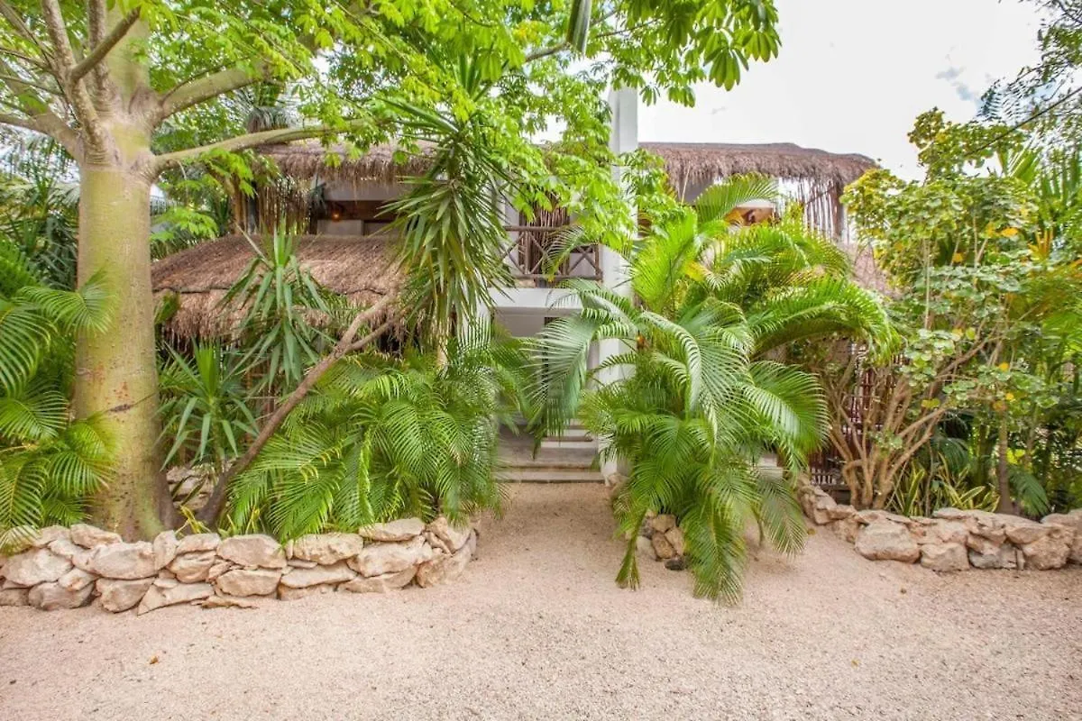 Hotel Icastico Tulum Mexiko