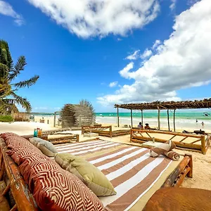 4* Hotel Alito